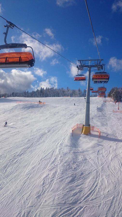 Willa Male Alpy 300 M Od Kompleksow Narciarskich Krynica-Zdrój Esterno foto
