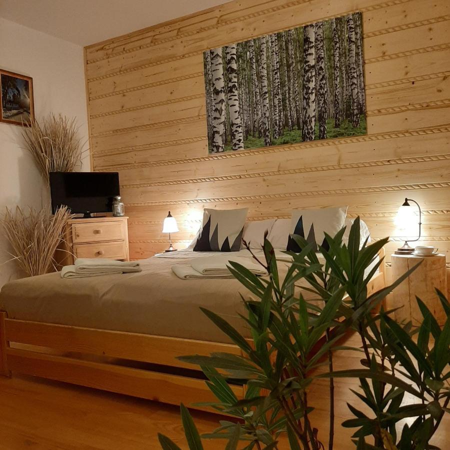 Willa Male Alpy 300 M Od Kompleksow Narciarskich Krynica-Zdrój Esterno foto