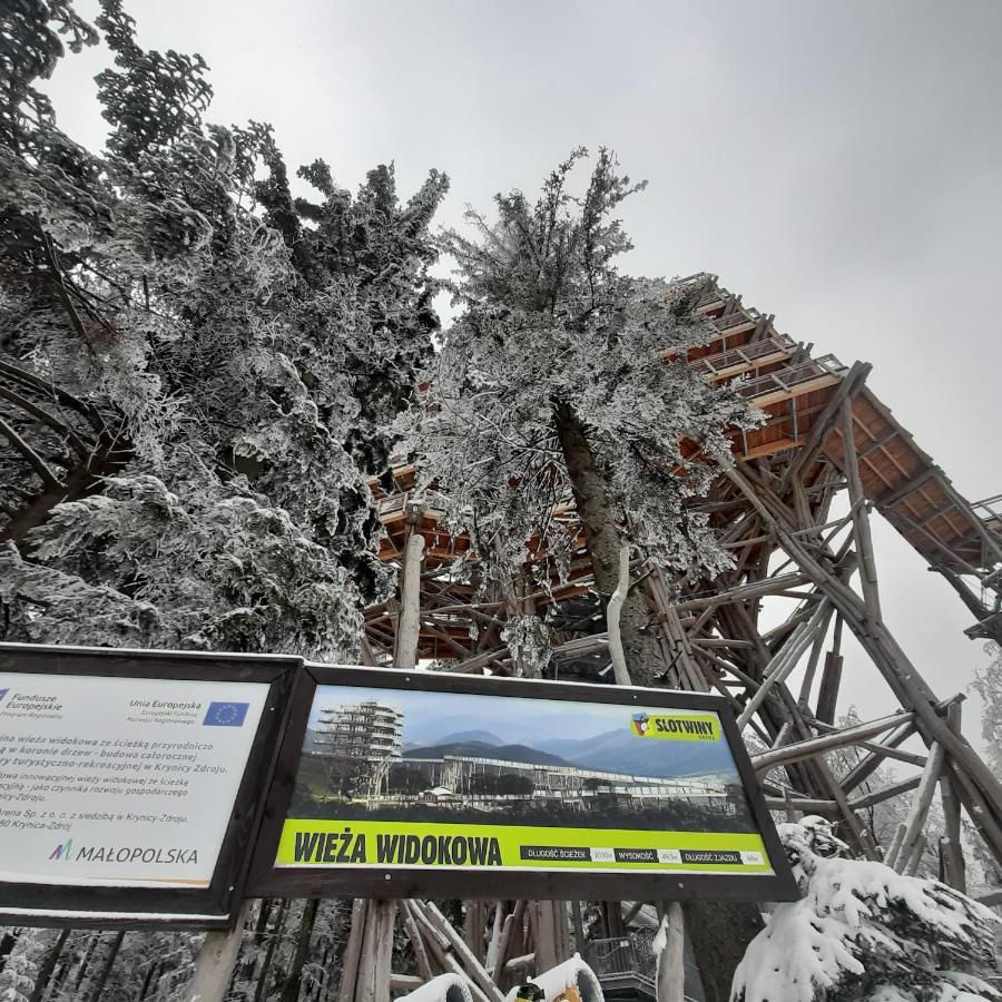Willa Male Alpy 300 M Od Kompleksow Narciarskich Krynica-Zdrój Esterno foto