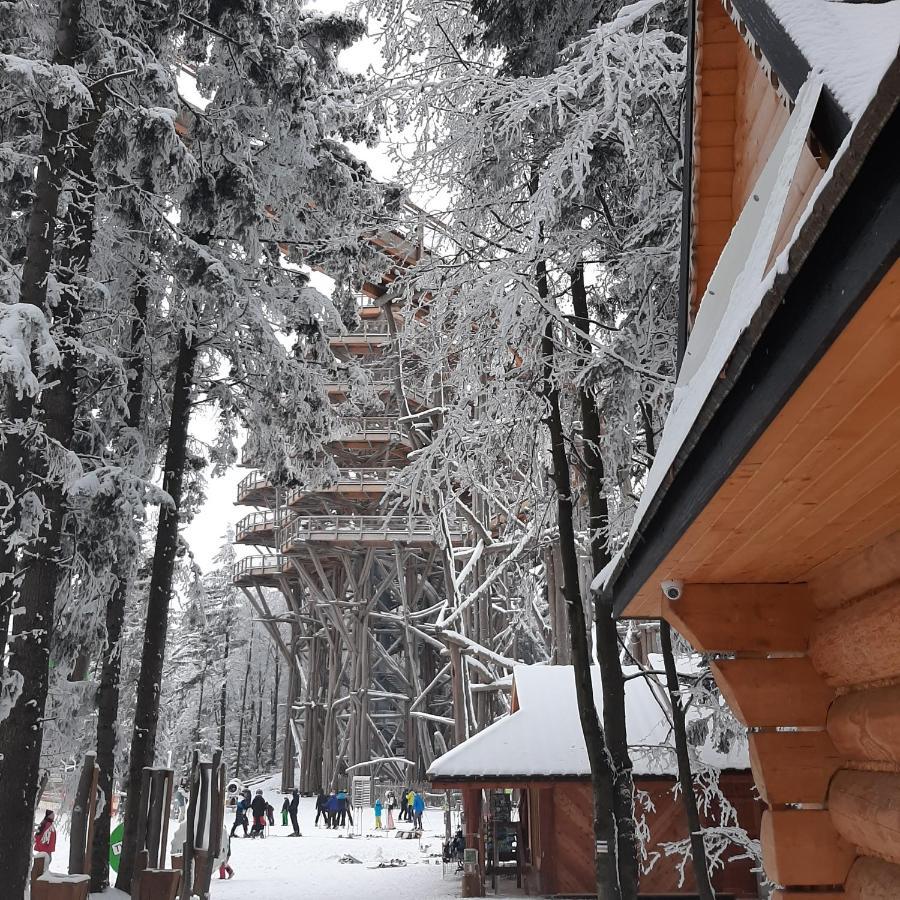 Willa Male Alpy 300 M Od Kompleksow Narciarskich Krynica-Zdrój Esterno foto
