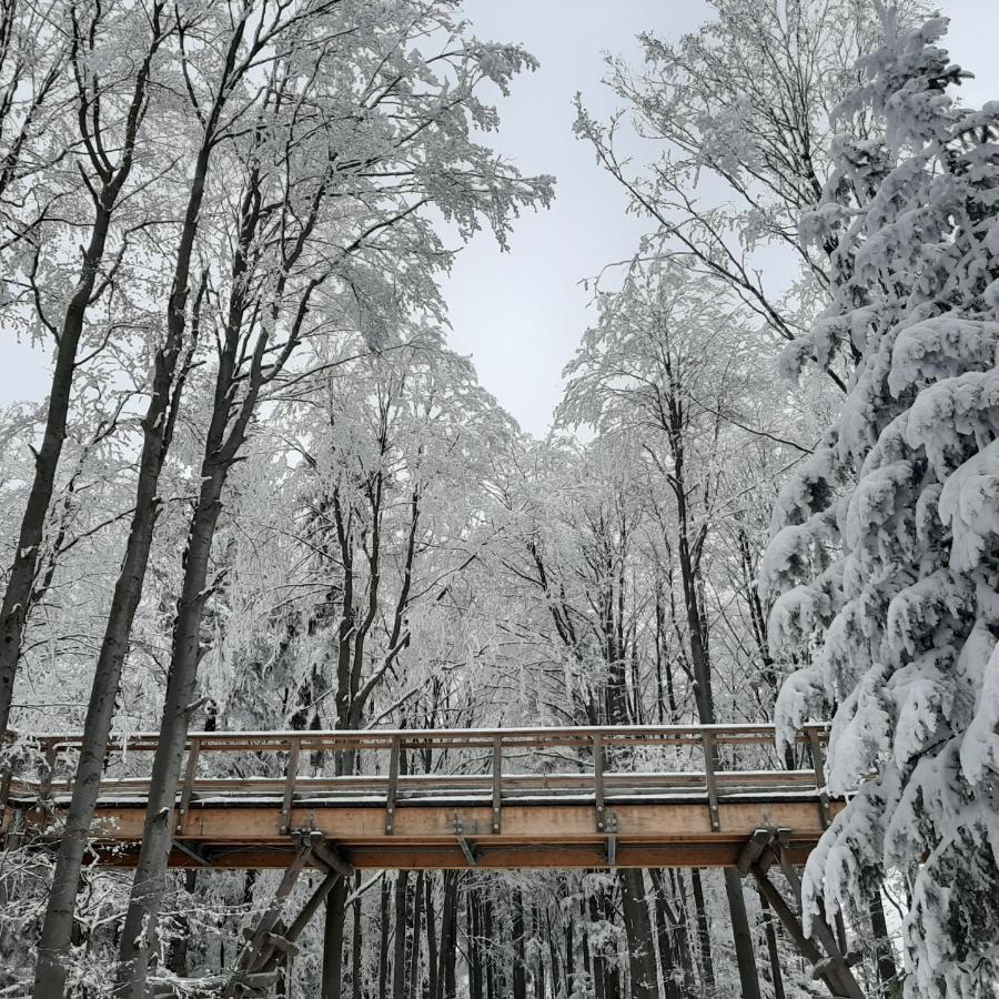 Willa Male Alpy 300 M Od Kompleksow Narciarskich Krynica-Zdrój Esterno foto