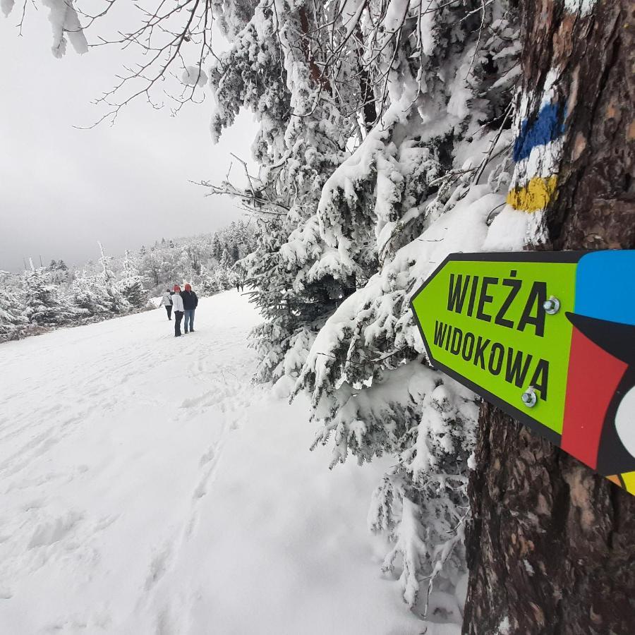 Willa Male Alpy 300 M Od Kompleksow Narciarskich Krynica-Zdrój Esterno foto