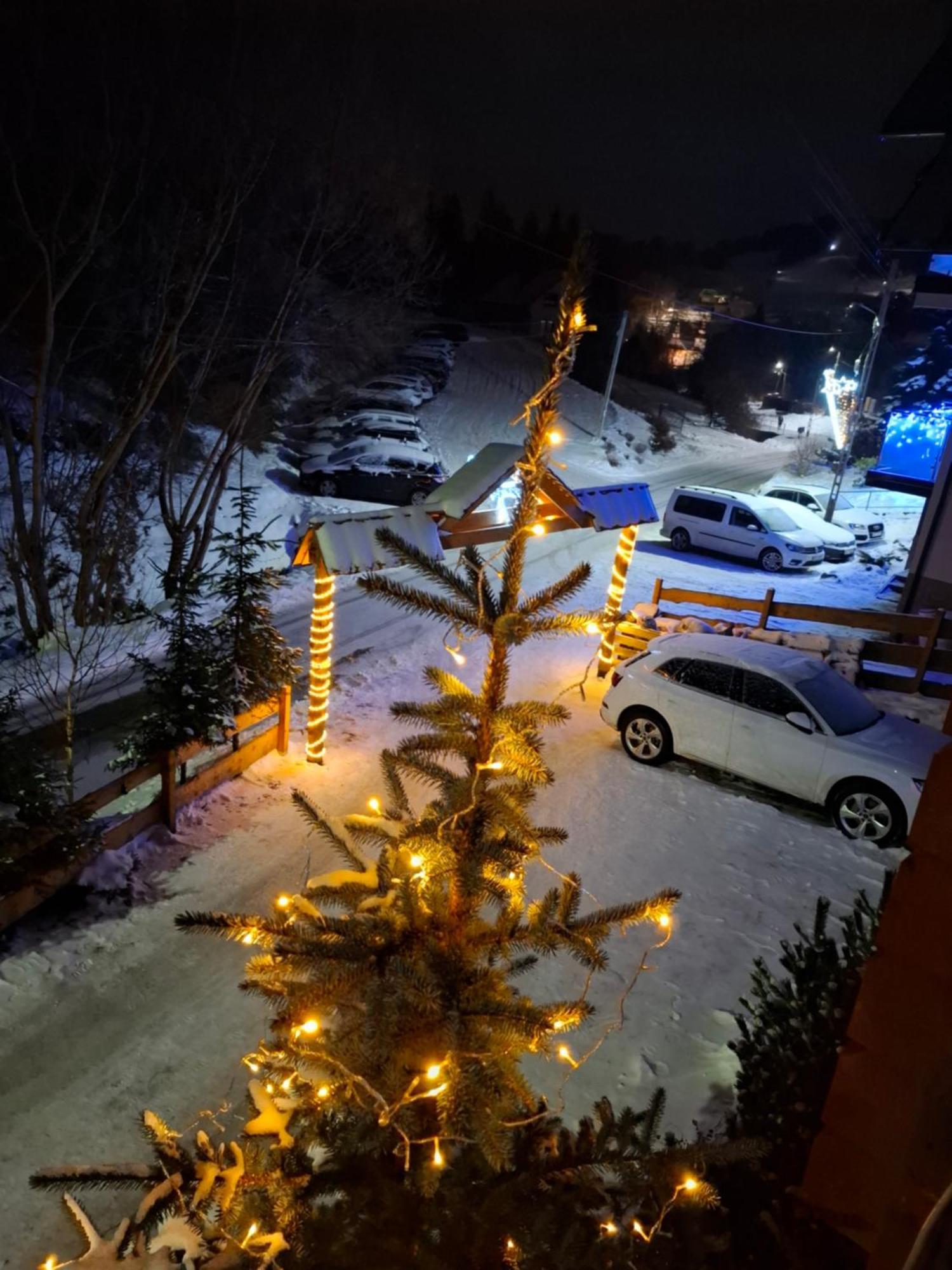 Willa Male Alpy 300 M Od Kompleksow Narciarskich Krynica-Zdrój Esterno foto