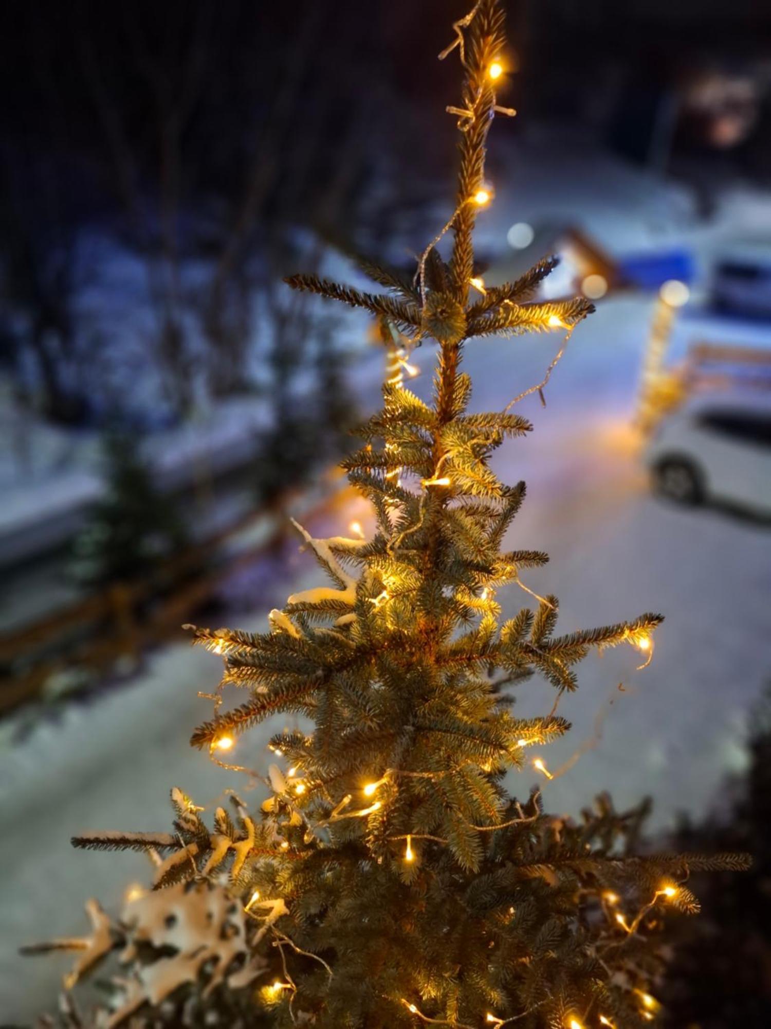 Willa Male Alpy 300 M Od Kompleksow Narciarskich Krynica-Zdrój Esterno foto