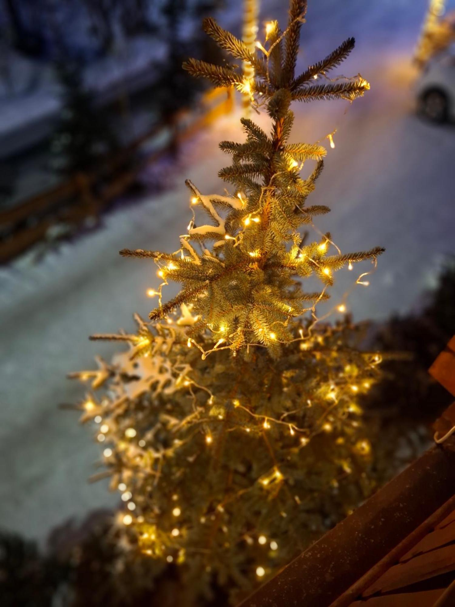 Willa Male Alpy 300 M Od Kompleksow Narciarskich Krynica-Zdrój Esterno foto