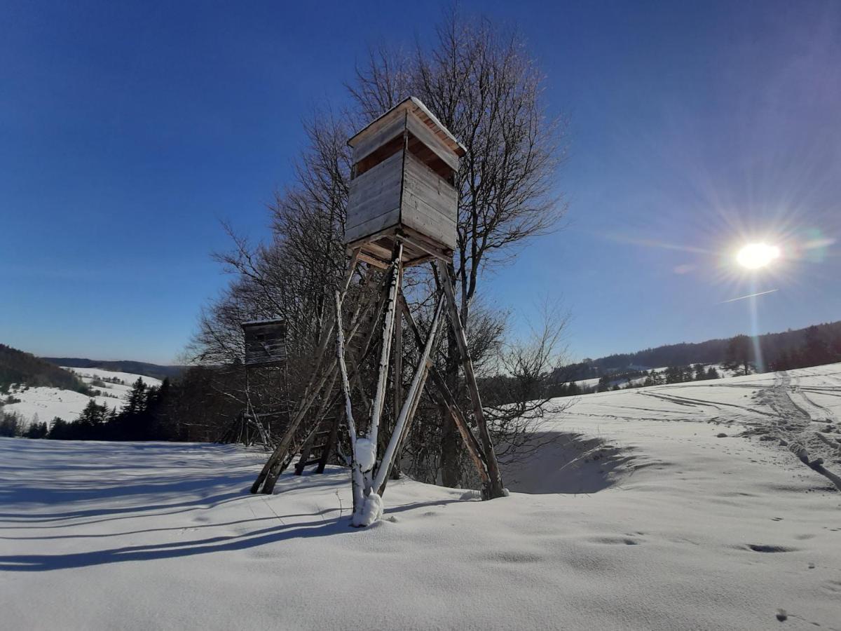 Willa Male Alpy 300 M Od Kompleksow Narciarskich Krynica-Zdrój Esterno foto