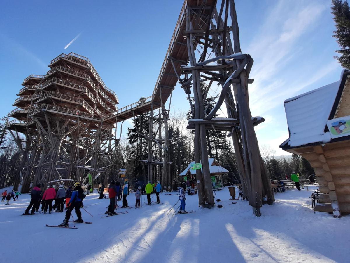 Willa Male Alpy 300 M Od Kompleksow Narciarskich Krynica-Zdrój Esterno foto